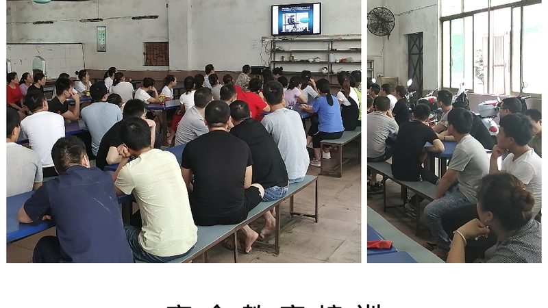 少儿编程教材如何选择？揭秘家长关心的关键要素